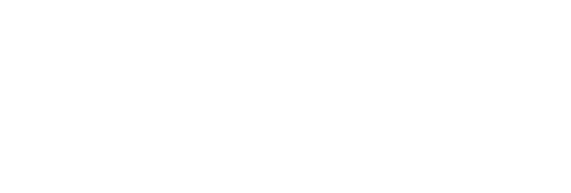 CV Experts logo
