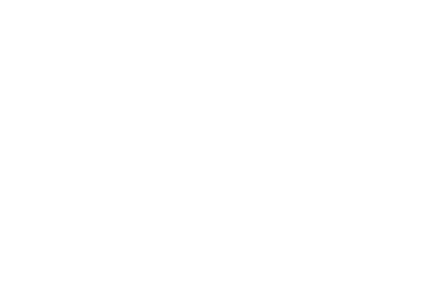 Kleio logo